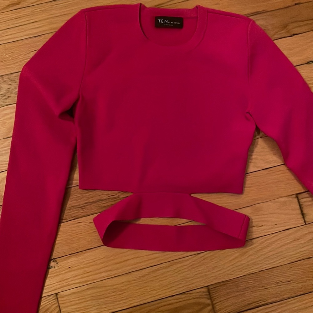 Never Worn Pink Babaton Top